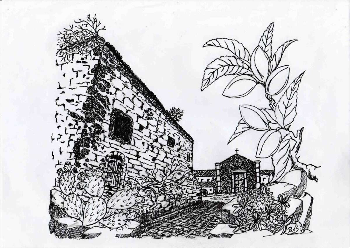 Il disegno del mese