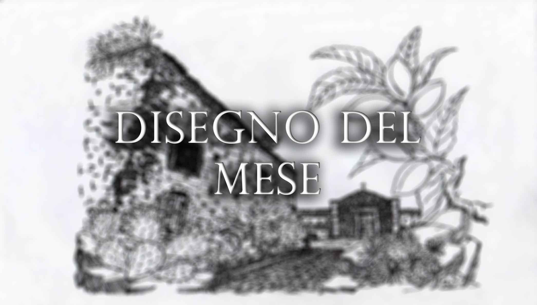 Il disegno del mese
