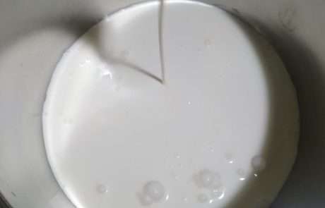 Fase 1