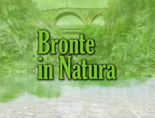 Bronte in natura: Il Simeto, gli affluenti e le forre laviche