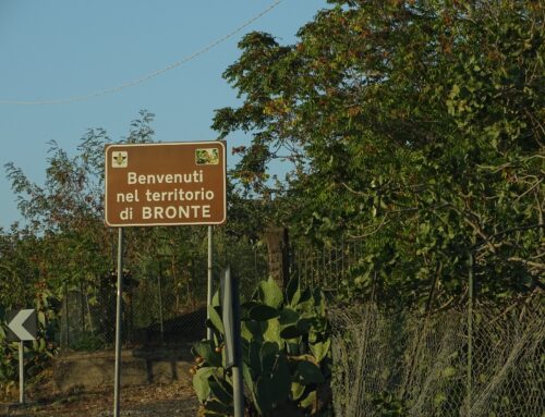 Dalla terra alla tavola: il pistacchio di Bronte in giro per il mondo